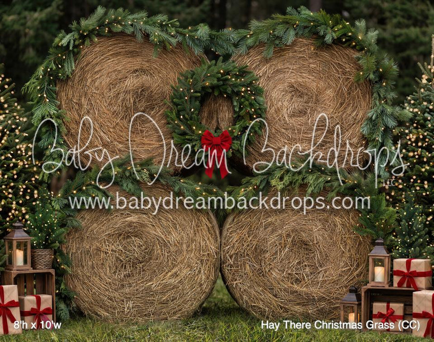 Hay There Christmas Grass (CC)