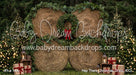 Hay There Christmas Grass (CC)