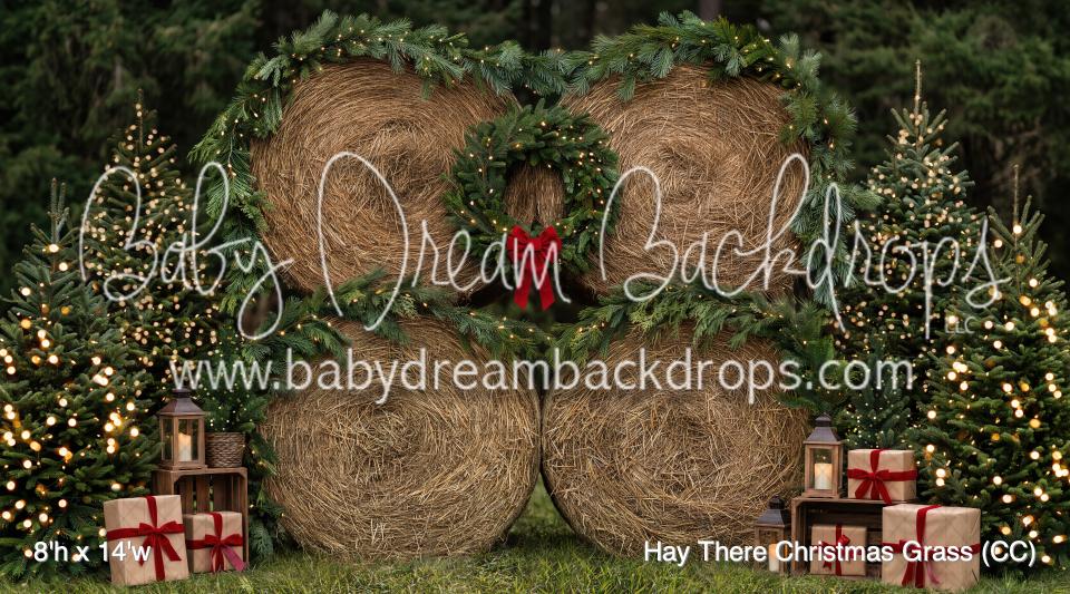Hay There Christmas Grass (CC)