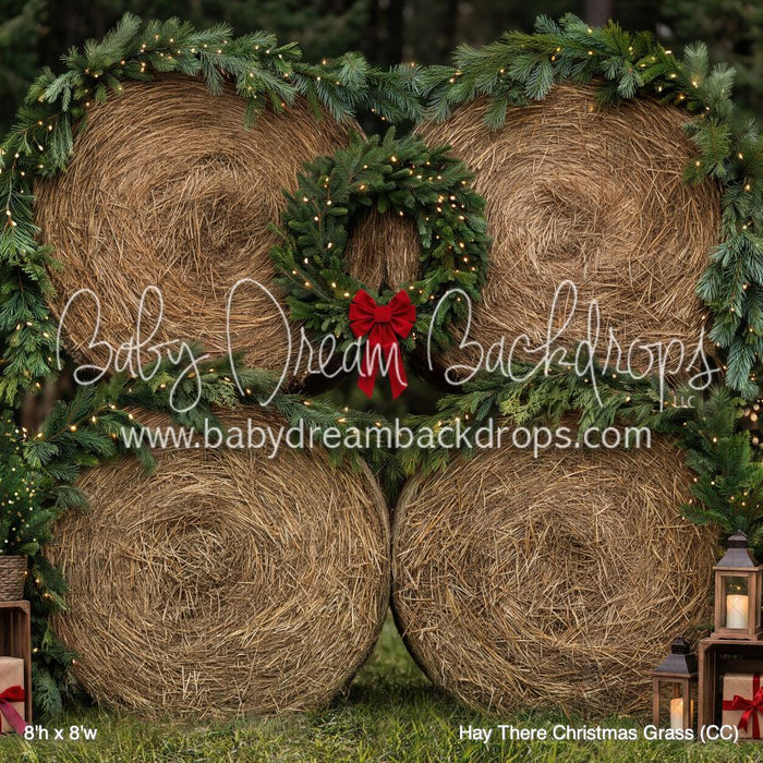 Hay There Christmas Grass (CC)