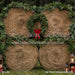 Hay There Christmas Grass (CC)