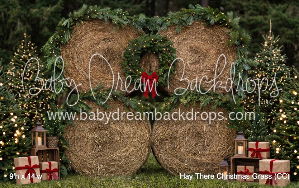 Hay There Christmas Grass (CC)