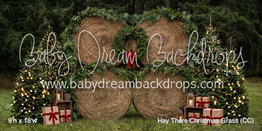 Hay There Christmas Grass (CC)