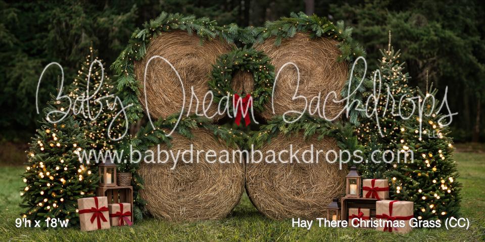 Hay There Christmas Grass (CC)