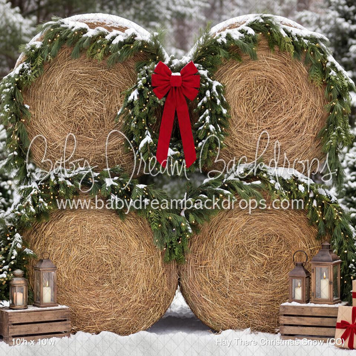 Hay There Christmas Snow (CC)