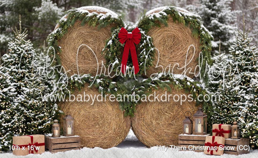 Hay There Christmas Snow (CC)