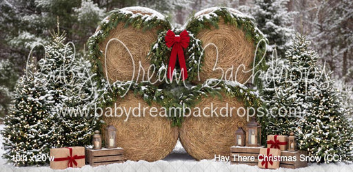 Hay There Christmas Snow (CC)