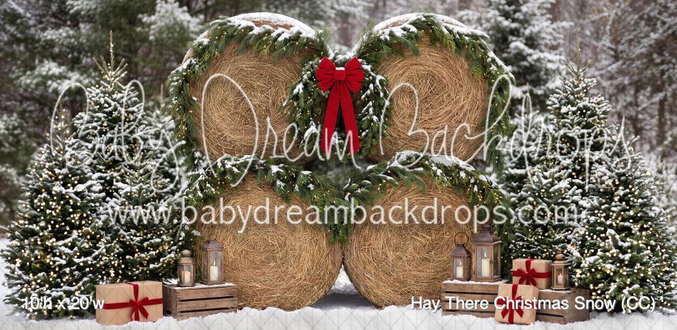 Hay There Christmas Snow (CC)