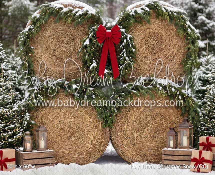 Hay There Christmas Snow (CC)