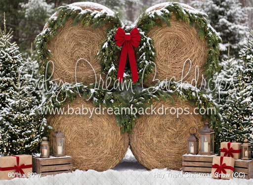 Hay There Christmas Snow (CC)