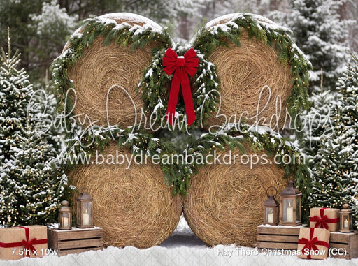 Hay There Christmas Snow (CC)