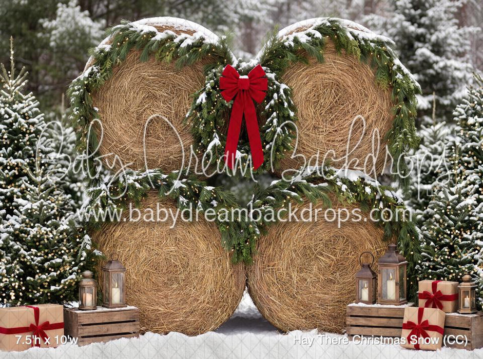 Hay There Christmas Snow (CC)