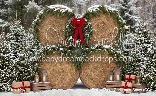 Hay There Christmas Snow (CC)