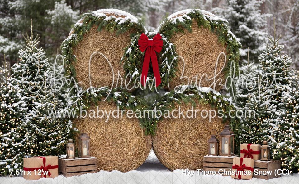 Hay There Christmas Snow (CC)