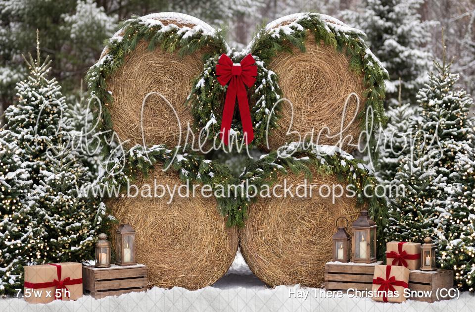 Hay There Christmas Snow (CC)