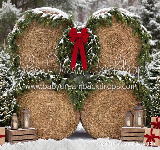Hay There Christmas Snow (CC)