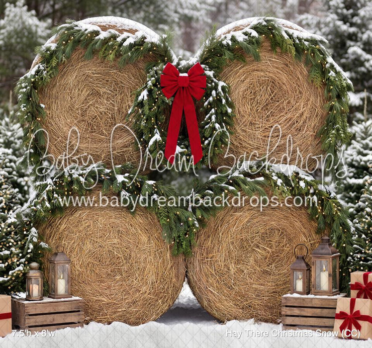 Hay There Christmas Snow (CC)