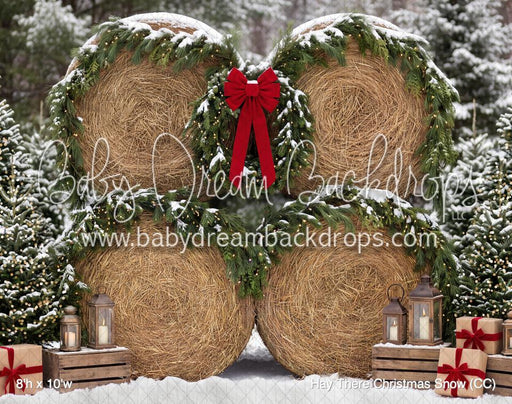 Hay There Christmas Snow (CC)