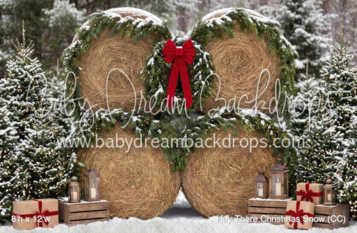 Hay There Christmas Snow (CC)