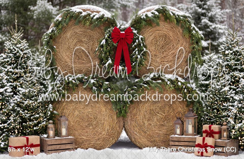 Hay There Christmas Snow (CC)