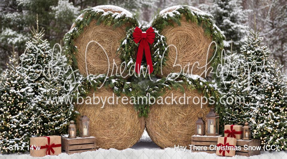 Hay There Christmas Snow (CC)