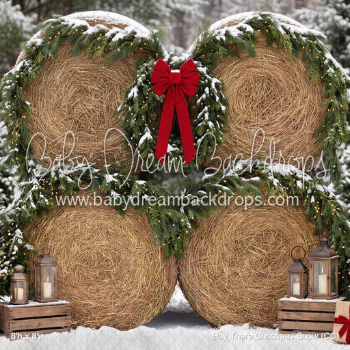 Hay There Christmas Snow (CC)