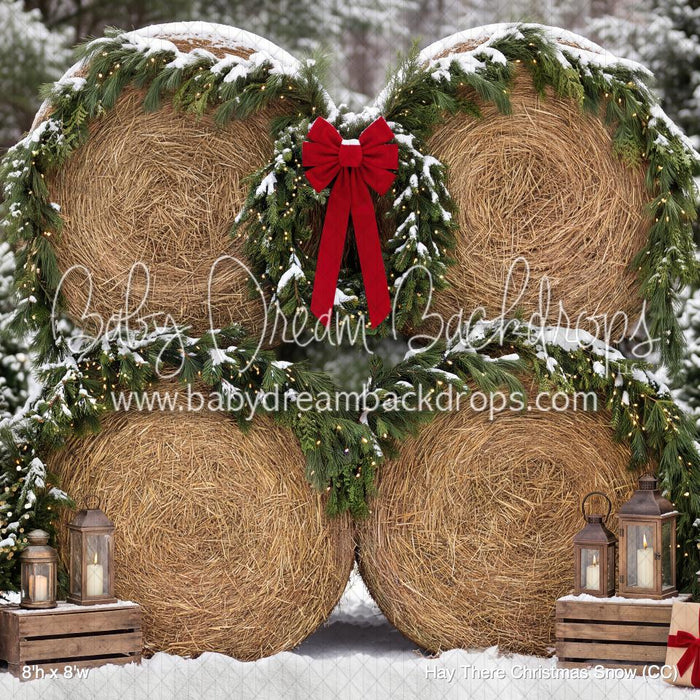 Hay There Christmas Snow (CC)