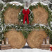 Hay There Christmas Snow (CC)