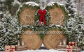 Hay There Christmas Snow (CC)