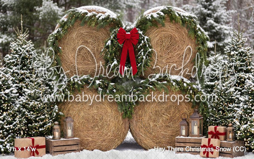 Hay There Christmas Snow (CC)