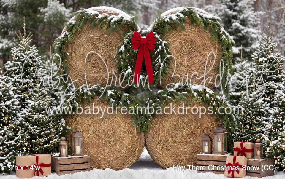 Hay There Christmas Snow (CC)