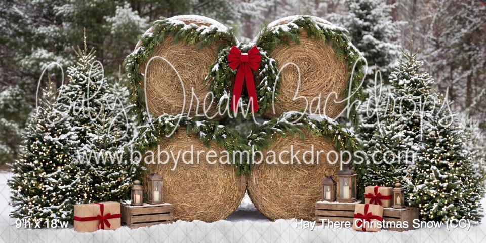 Hay There Christmas Snow (CC)
