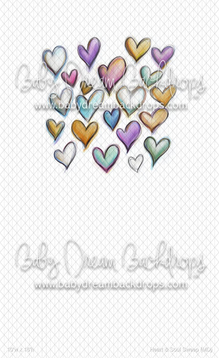 Heart & Soul Sweep (MD)