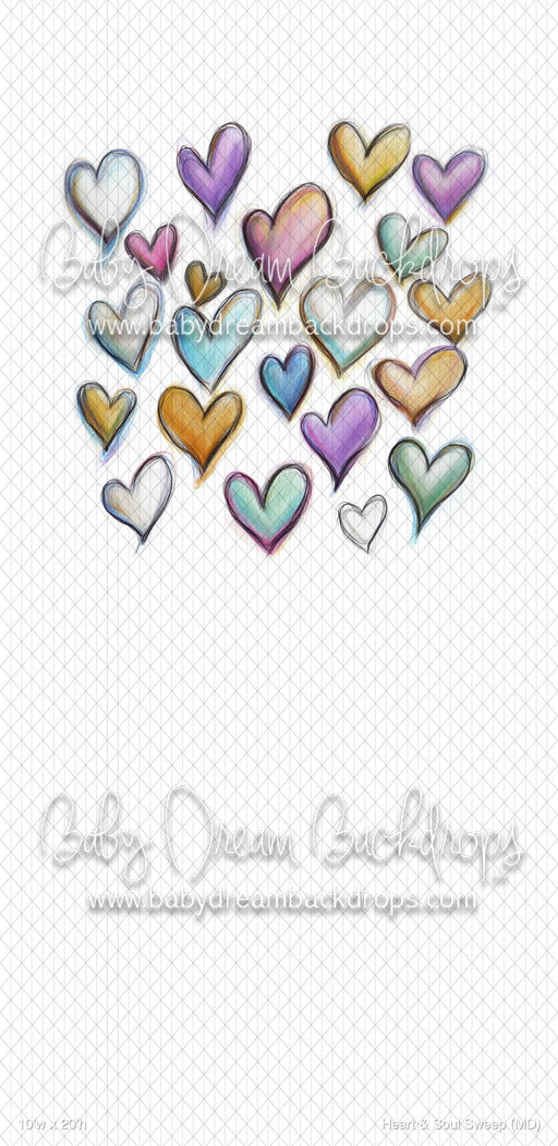 Heart & Soul Sweep (MD)