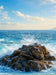 Heart of the Ocean (GO)