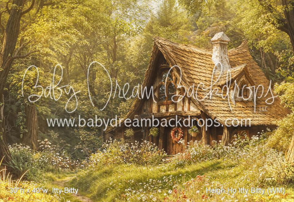 Heigh Ho Itty Bitty (WM)