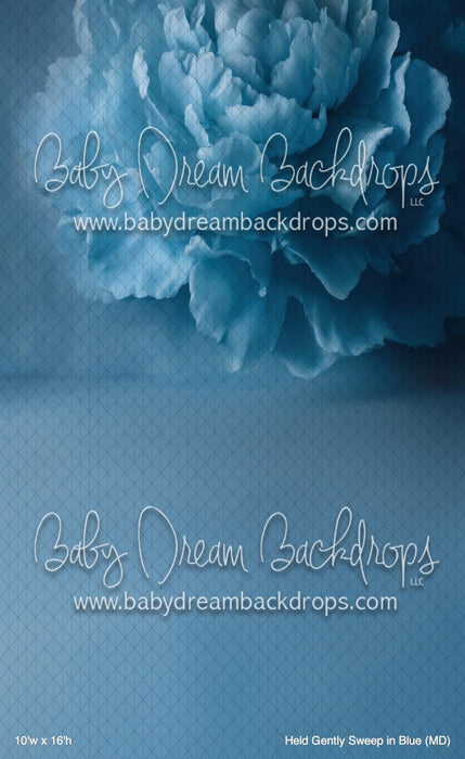 Held Gently Sweep in Blue (MD)