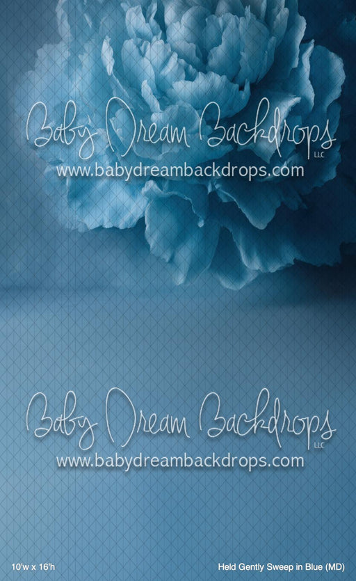 Held Gently Sweep in Blue (MD)