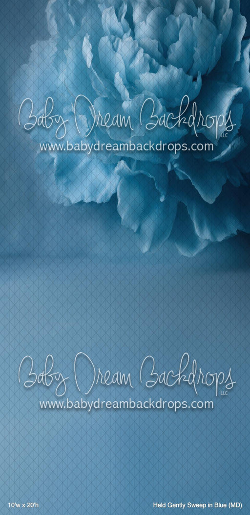 Held Gently Sweep in Blue (MD)