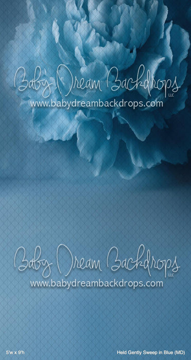 Held Gently Sweep in Blue (MD)