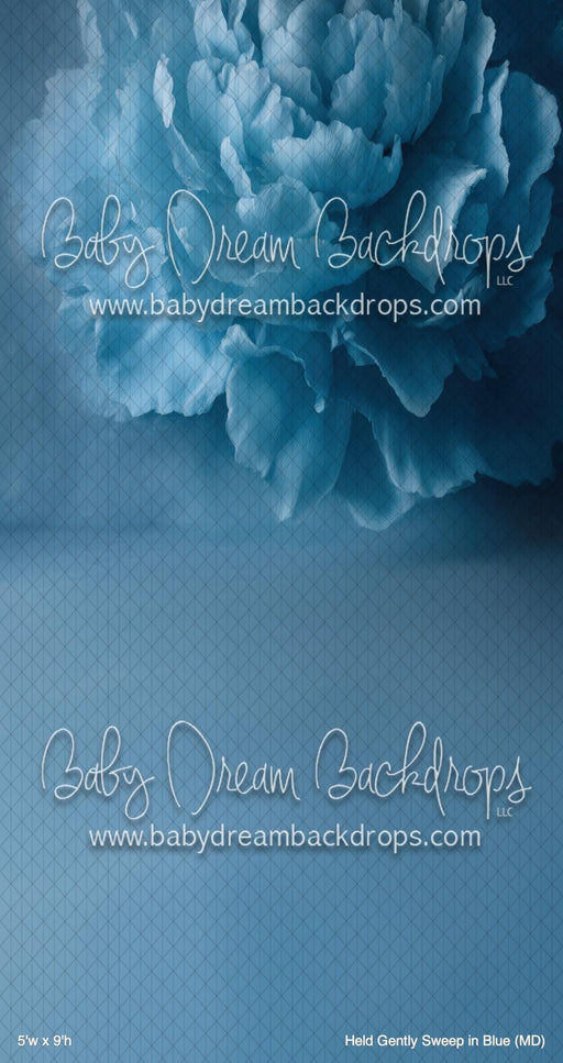 Held Gently Sweep in Blue (MD)