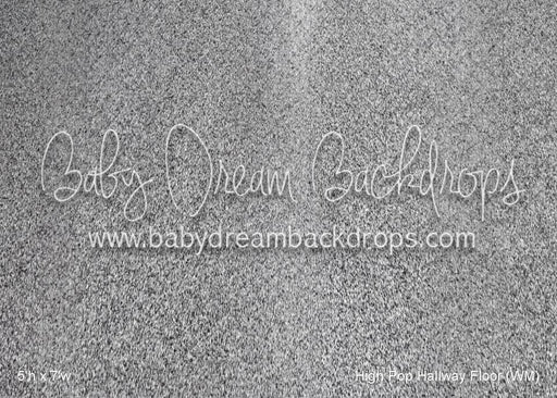 High Pop Hallway Floor (WM)