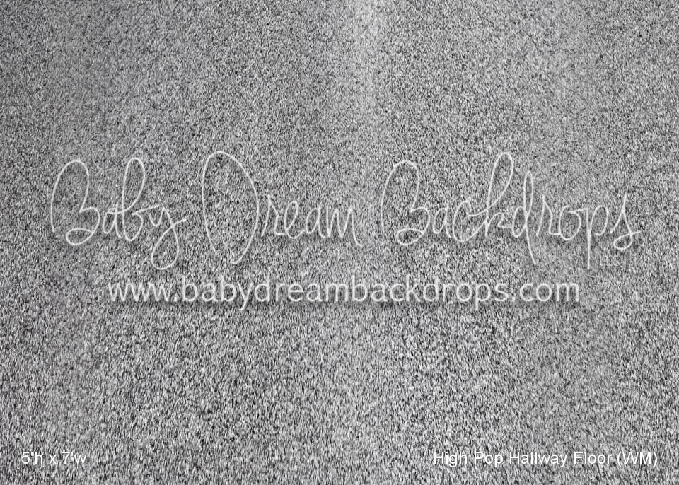 High Pop Hallway Fabric Floor (WM)