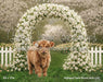 Highland Farm Bloom Arch (JA)