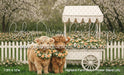 Highland Farm Bloom Flower Stand (JA)