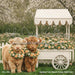 Highland Farm Bloom Flower Stand (JA)