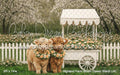 Highland Farm Bloom Flower Stand (JA)