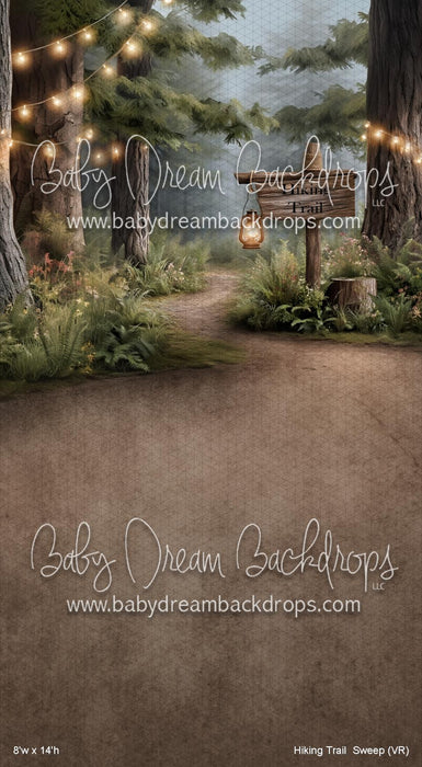 Hiking Trail  Sweep (VR)