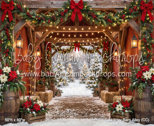 Holiday Barn Alley (CC)