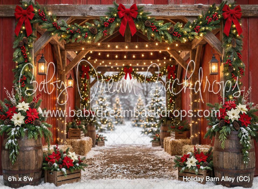 Holiday Barn Alley (CC)